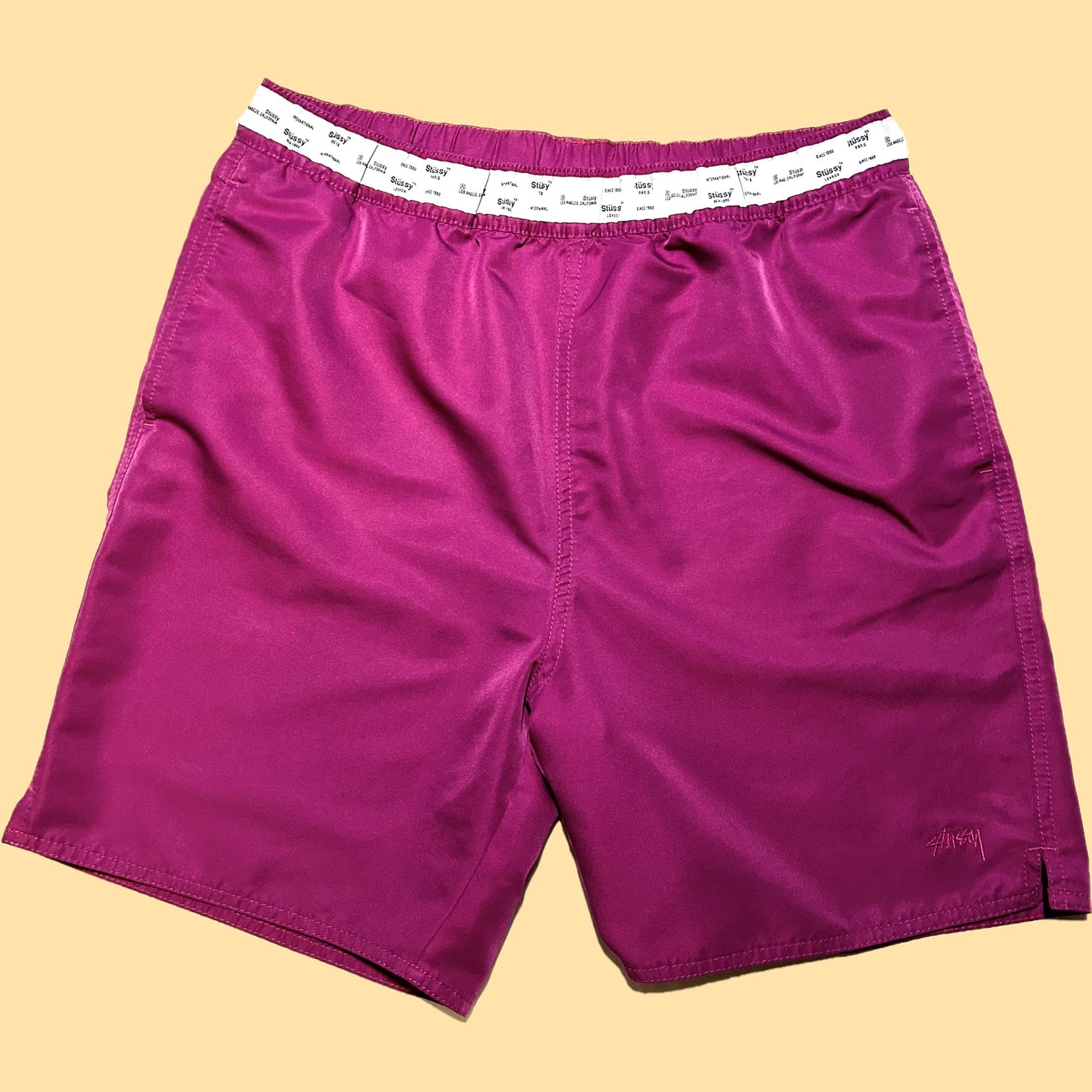 Stussy International Shorts - Small - Purple