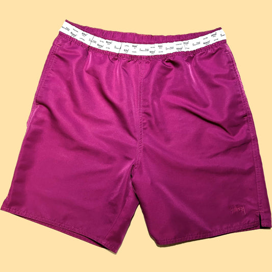 Stussy International Shorts - Small - Purple