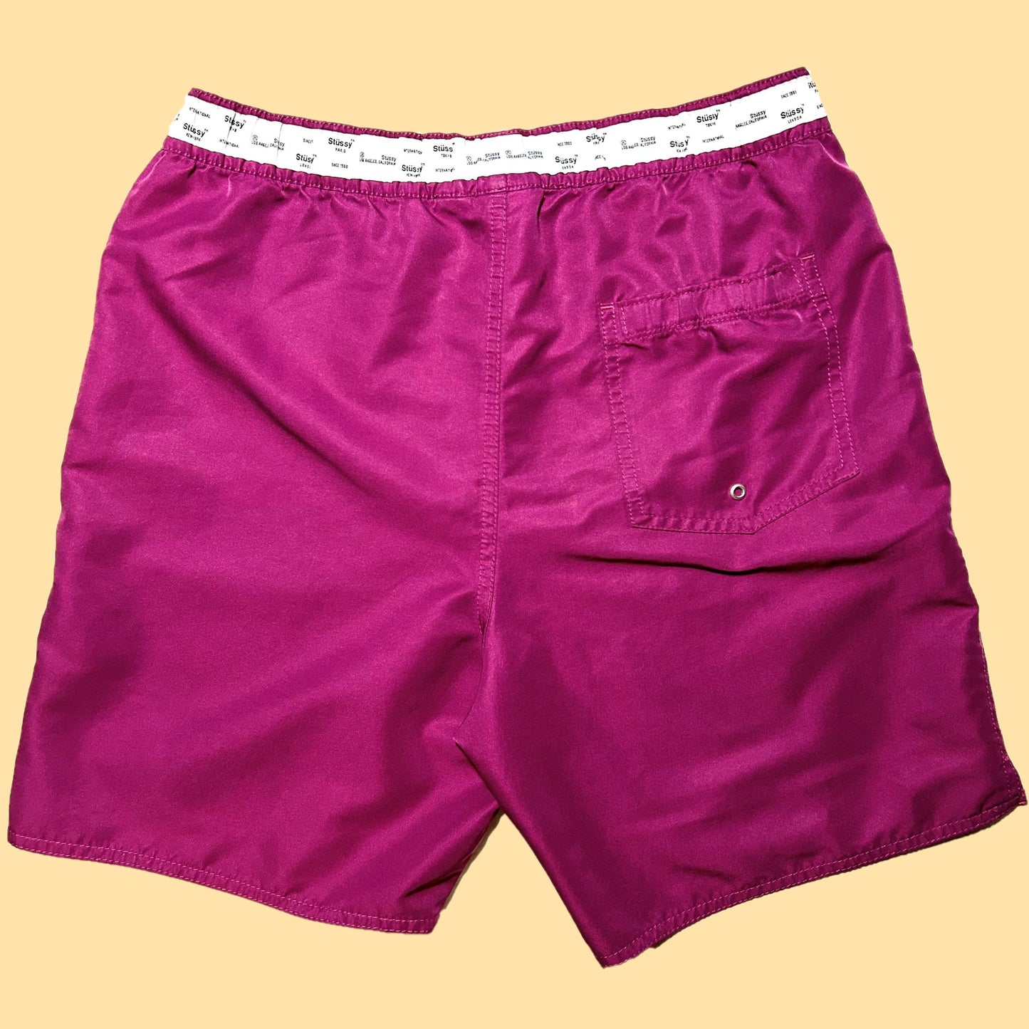 Stussy International Shorts - Small - Purple